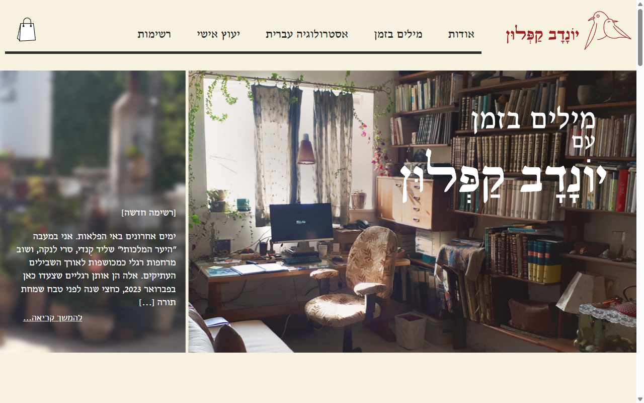 תמונת מסך אתר יונדב קפלון